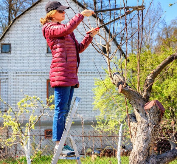 Найкраща стрем'янка для села